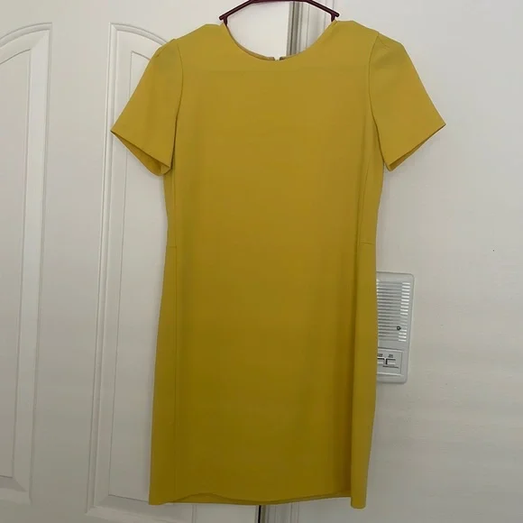 babaton shirt dress Abbey Dress